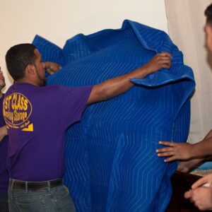 Furniture-Protecting-300x300 Our Team in Action Orlando | Central Florida