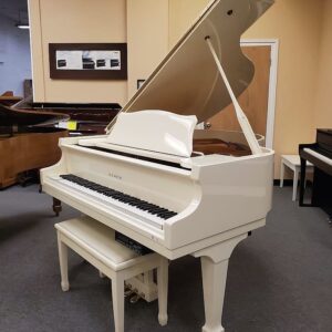 Piano-1-300x300 Our Team in Action Orlando | Central Florida